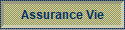 Assurance Vie