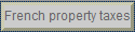 French property taxes
